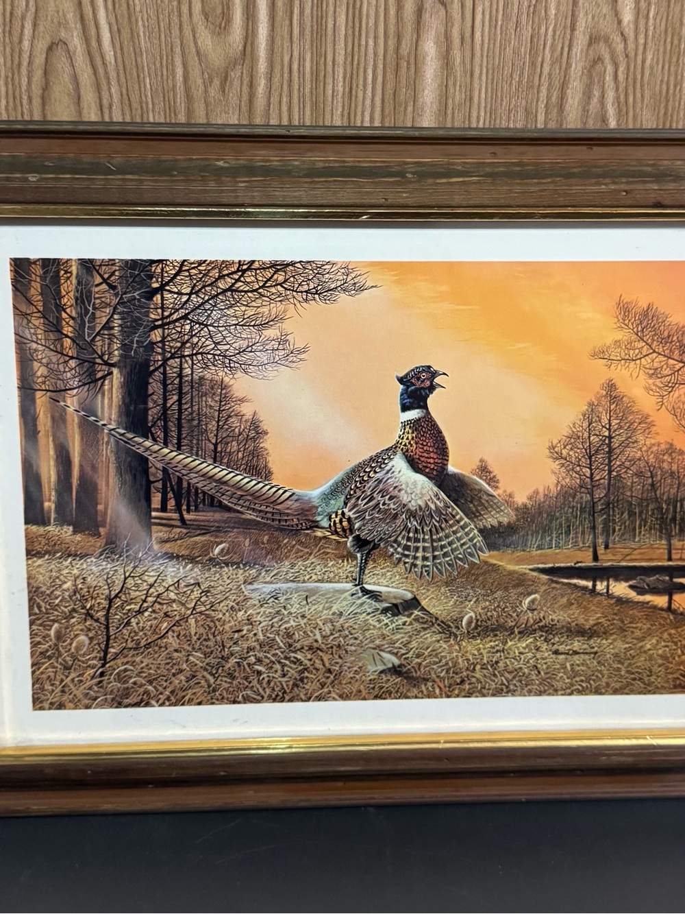 Tru-Art Framed Pheasant  Landscape Print Gold-Tone Frame MCM